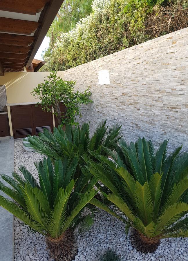 B&B Aloe Comfort Rooms San Vito Lo Capo Exterior foto