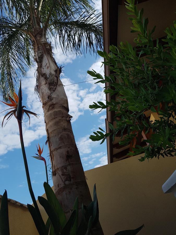 B&B Aloe Comfort Rooms San Vito Lo Capo Exterior foto