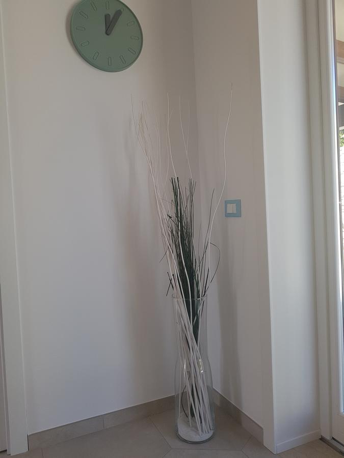 B&B Aloe Comfort Rooms San Vito Lo Capo Exterior foto